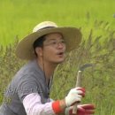 채플린 이미지