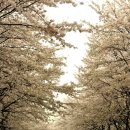 여주고등학교 이미지