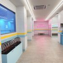 가산/금천구 인생 첫 테니스 배우기 &#39;테니스 블라썸&#39; 후기