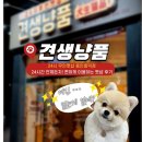 견생냥품 무인24시 용인흥덕점 | [용인] 견생냥품 용인흥덕점, 무인으로 24시간 쇼핑 가능한 펫샵 후기