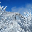 1월08일(화요일) 소백산(충북/단양) 블랙야크 100대 명산 눈꽃축제 이미지