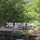 장안사 - 1722 | 부산 계곡 추천 기장 장안사 계곡 위치 주차 후기
