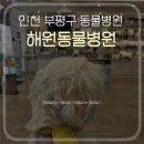 해원 동물병원 이미지