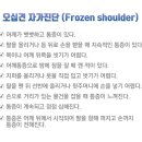 연세든든척의원 이미지