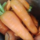 농부의 아침 | 뚝섬 11월 마지막 농부의시장 후기 잎달린당근 녹즙 알알이거둠터