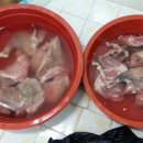 염소농장 이미지