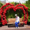 장미공원B 이미지