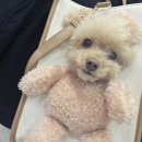 메디킹스 이미지