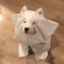 몽글몽글 이미지