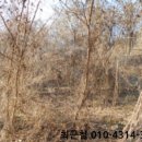 판암동230 이미지