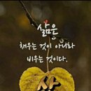 오늘도 프로야구 랑 함께 합니다요 ^^ 이미지