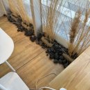 자이세탁나라 이미지