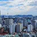 꽃차 소믈리에로의 초대 이미지