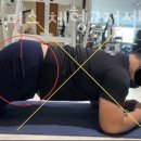 바른체형 교정센터 이미지