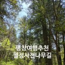 평창 오대산 중대 소종 | 평창여행 추천 오대산 월정사 전나무숲길