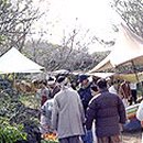 상궁목장 이미지