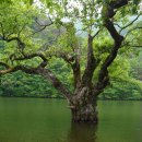 신사역 5번출구 앞 횡단보도 이미지