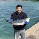 낚시터민박 | 양준혁 카페 동끝 &amp; 횟집, 포항 바다에서 즐기는 특별한 하루
