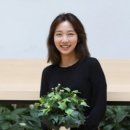 파이어씨드 이미지