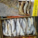 신안수산
