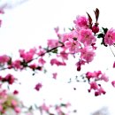 남미륵사 이미지