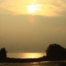 꽃지가는길 이미지