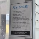 훈이애견 | 수원 영통역 애견카페 바로나도 수원영통점 귀여운 강아지들 보고온 후기 내돈내산