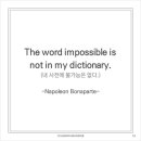 Napoleaon 네이버블로그