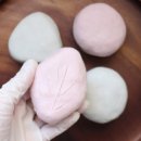 고체샴푸 만들기 이미지