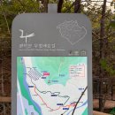 관악산 무장애숲길 티스토리