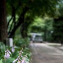수산아카데미 이미지