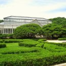 풍기동물병원 | 서울.창경궁.영춘헌