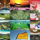 신우여행사 - 송파구 송파대로28길 20 | 경남지역 07월 1박2일 골프패키지 부킹 라운딩 날씨 예약 비용 비교 후기 추천