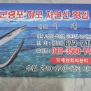 군령포하모자연산횟집