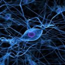 강화신경외과의원 이미지