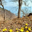 대박터진날 이미지