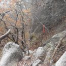 장성봉-애기암봉-원통산-절산-(홀뮈,고래,득소,주기현.배병률)-2025.11.2.일 이미지
