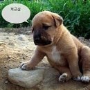 ㅋㅋ