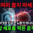 흰머리는 암과 싸운 우리 몸의 흔적이었다. 이미지