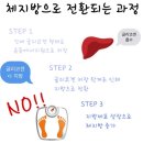 에스휘트니스 이미지