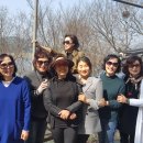 임주초등학교 이미지