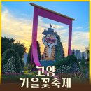 사군자와 예쁜 꽃그림(저녁) | [공지] 고양가을꽃축제 정보 기간 주차꿀팁 입장료 포토존ㅣ아기랑 가을여행 추천