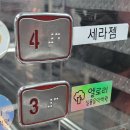 유성엘로리실용음악학원 이미지