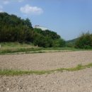 삼동면 물건1 이미지