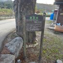 원색명화마을 이미지