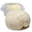 종로보석 | 2025 종로 보석/광물 팝업 후기(3층 보석체험 매우 추천)