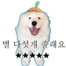 댕댕맛집 이미지