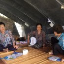 청도군새마을회관 이미지