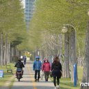 철길숲(학산동) 이미지