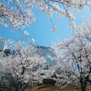 통진도서관 이미지